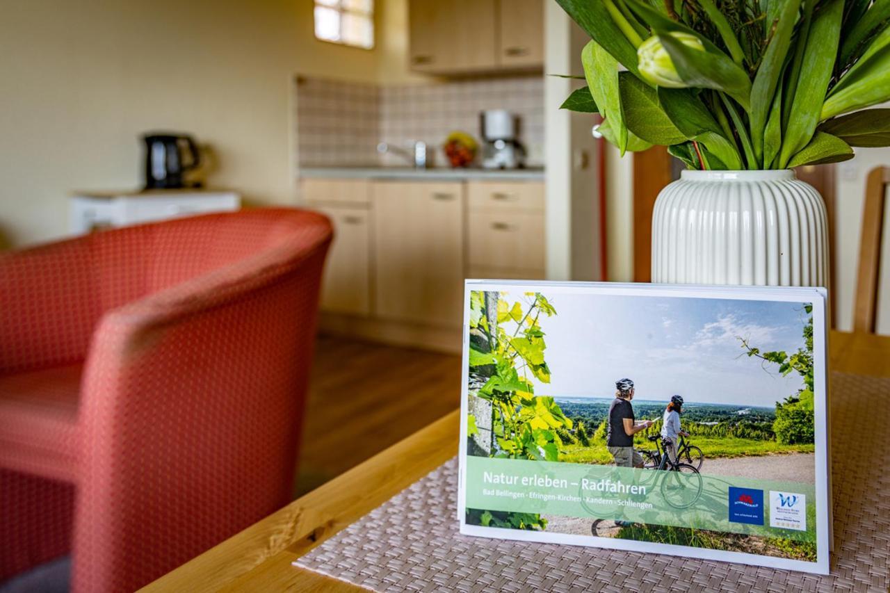 Gaestehaus Hoeferlin Bad Bellingen Exteriér fotografie